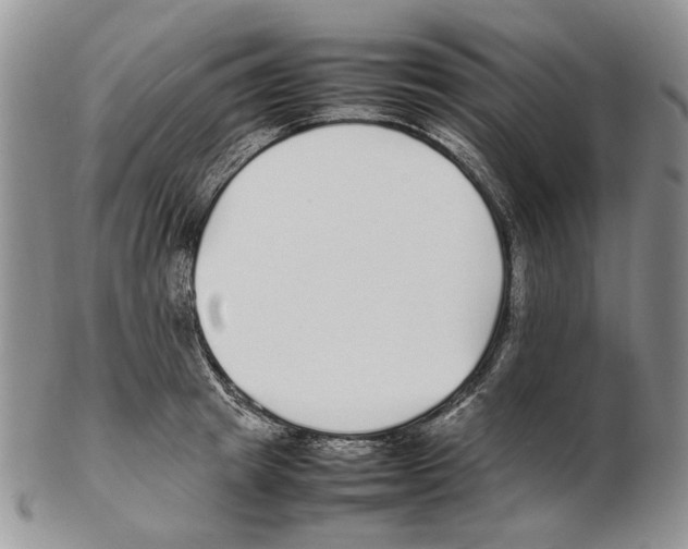 X0000102250849200808221351