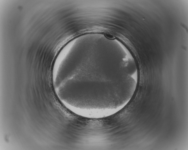 X0000102250850200808221351
