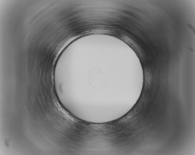 X0000102250852200808221351