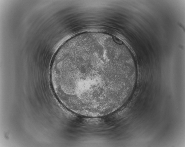 X0000102250853200808221351