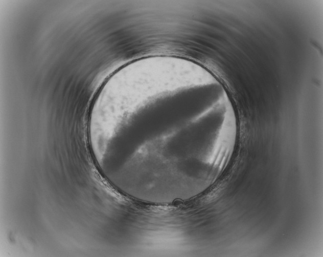 X0000102250854200808221351