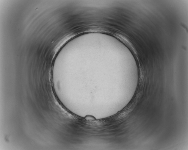 X0000102250855200808221351