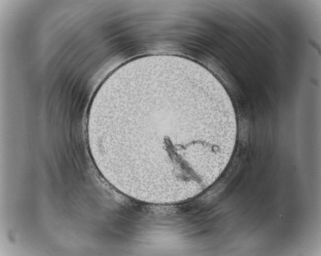 X0000102250856200808221351