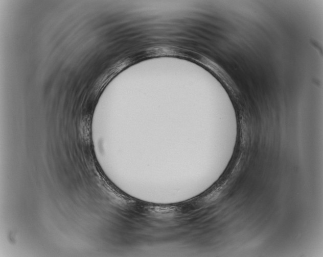 X0000102250857200808221351