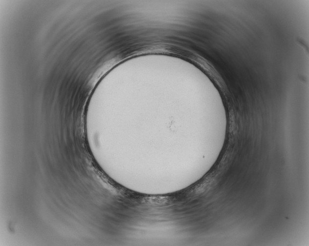 X0000102250858200808221351