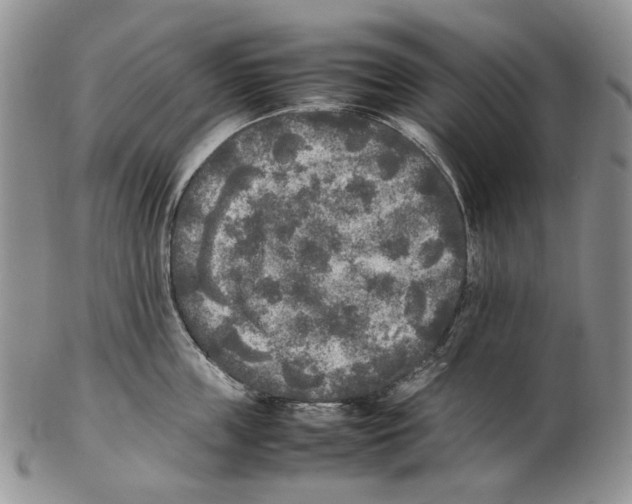 X0000102250859200808221351