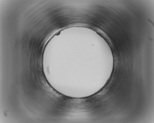 X0000102250860200808221351
