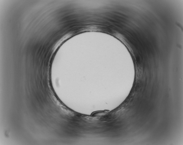 X0000102250861200808221351