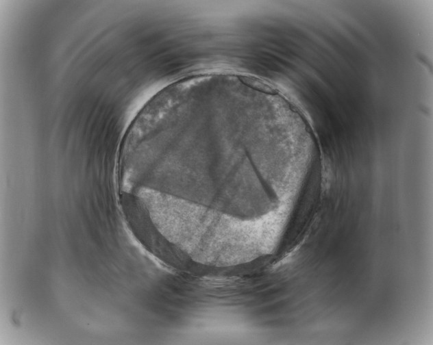 X0000102250863200808221351