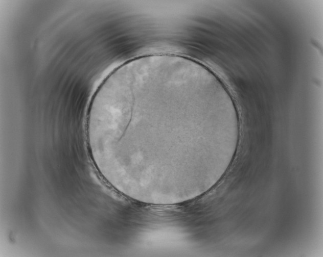 X0000102250864200808221351