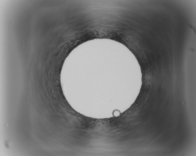 X0000102250865200808221350