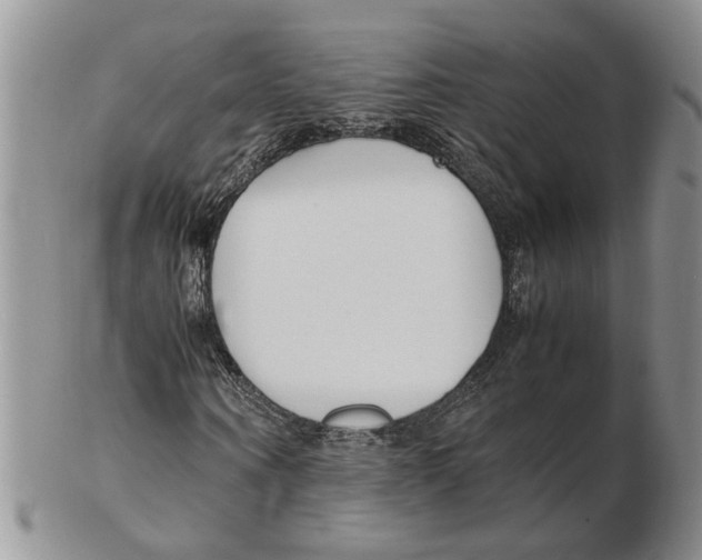 X0000102250866200808221350