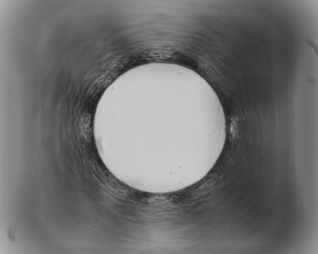 X0000102250867200808221350