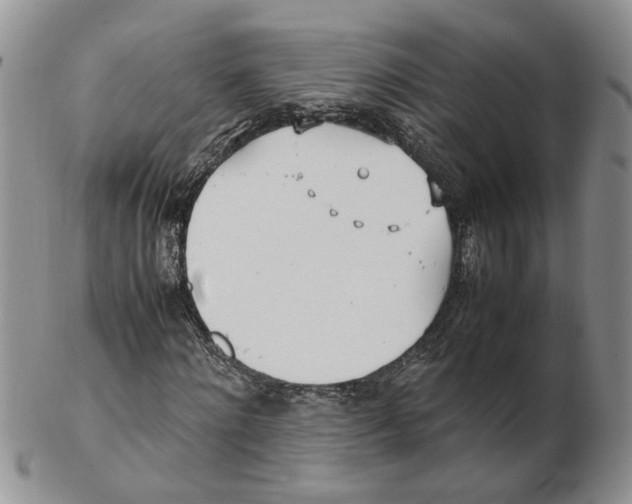 X0000102250868200808221350