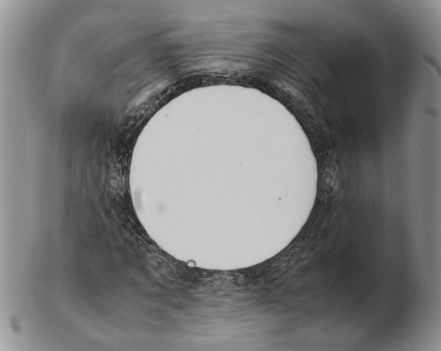 X0000102250869200808221350
