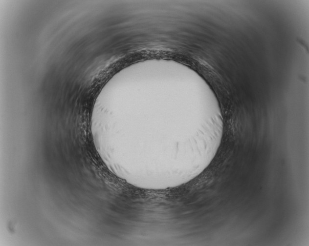 X0000102250870200808221350
