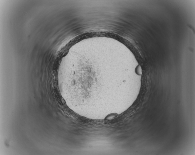 X0000102250871200808221350