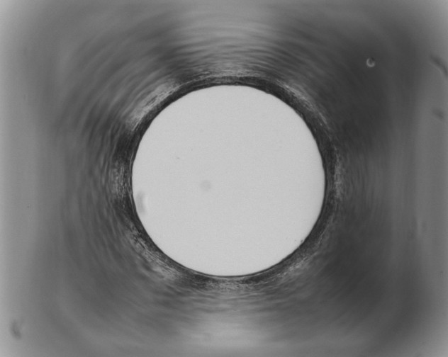 X0000102250873200808221350
