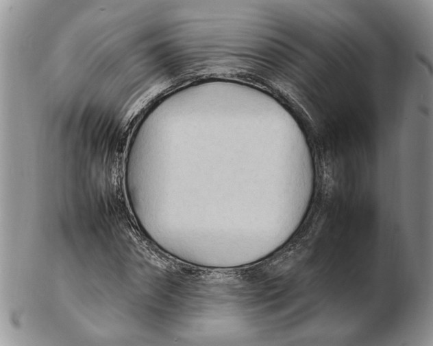 X0000102250874200808221350