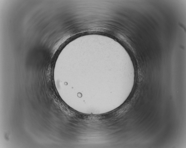 X0000102250875200808221350