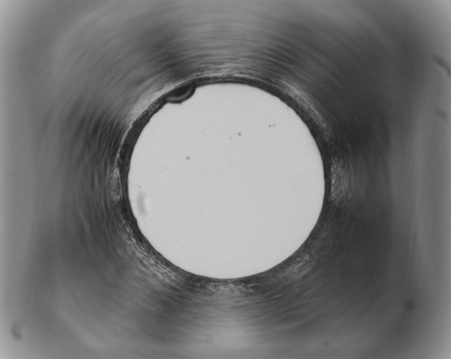 X0000102250876200808221350