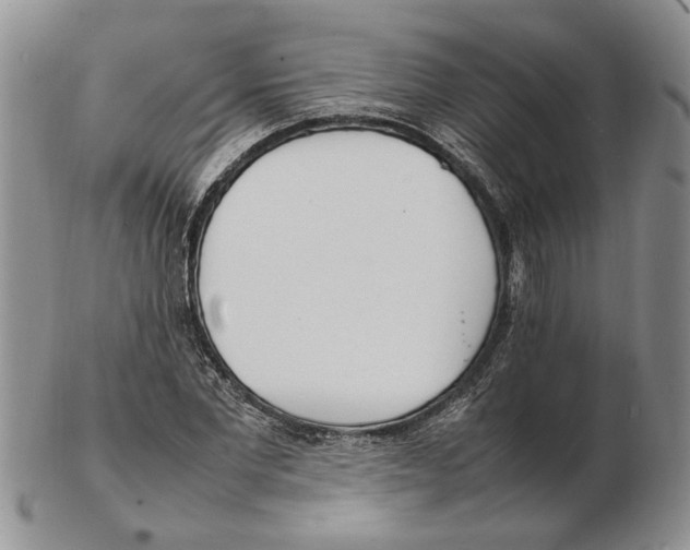 X0000102250877200808221350
