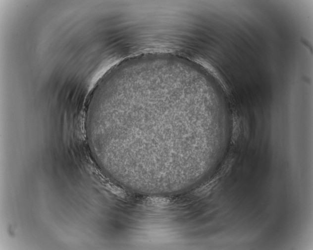 X0000102250878200808221350