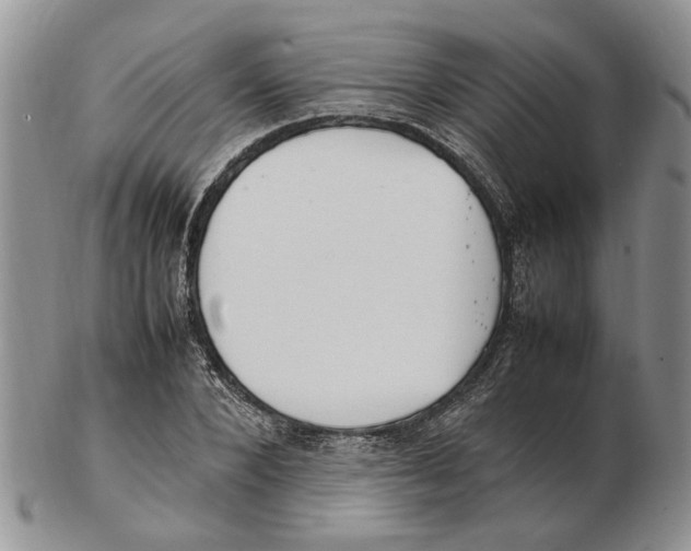 X0000102250880200808221350