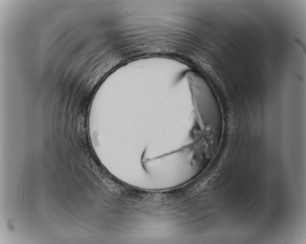 X0000102250881200808221350