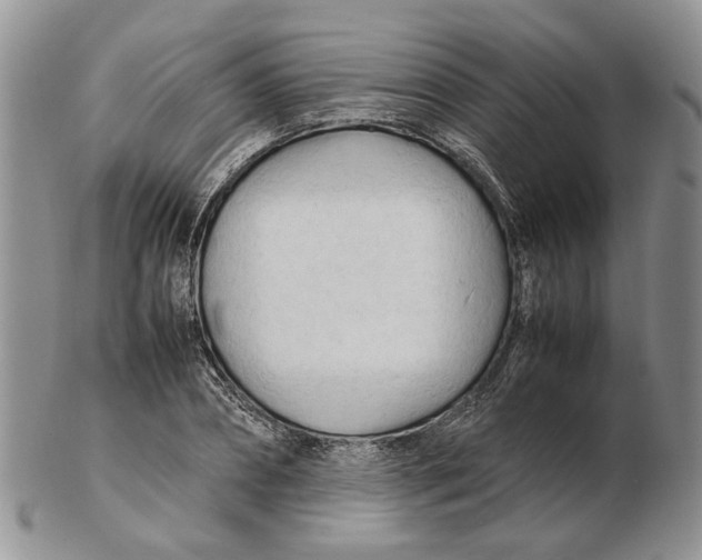 X0000102250882200808221350