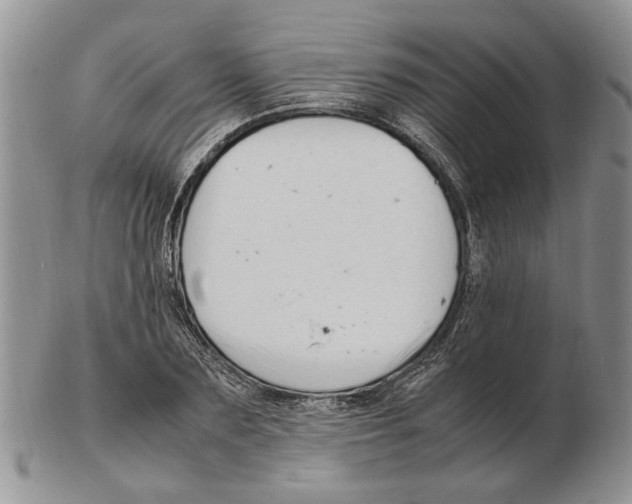 X0000102250883200808221350
