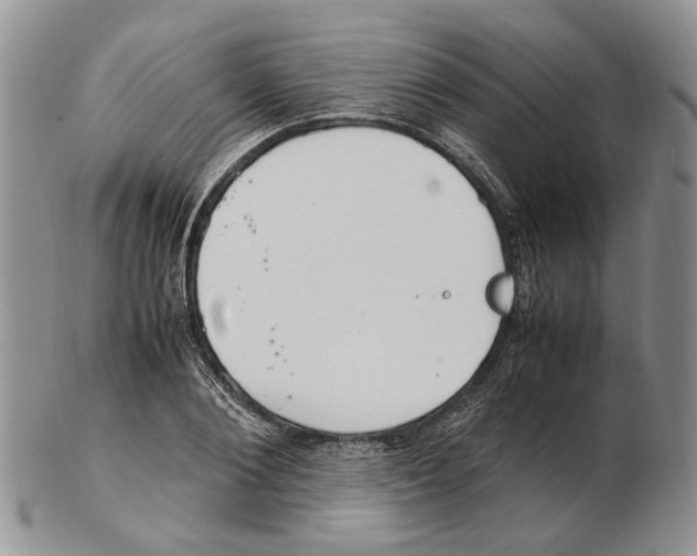 X0000102250884200808221350