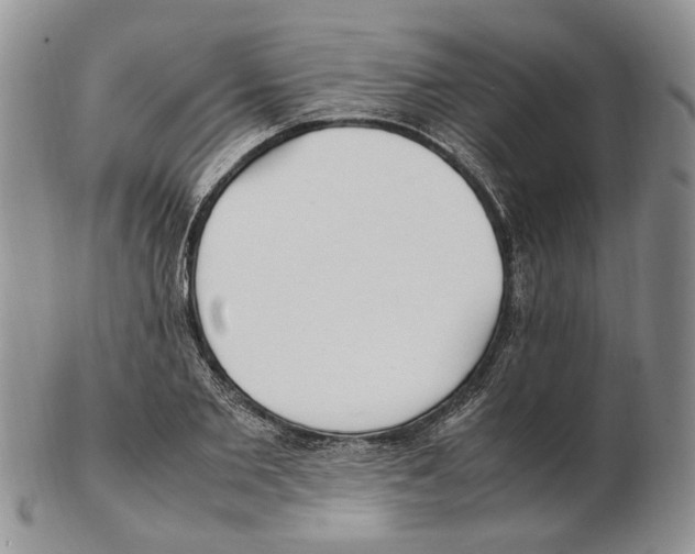 X0000102250885200808221350