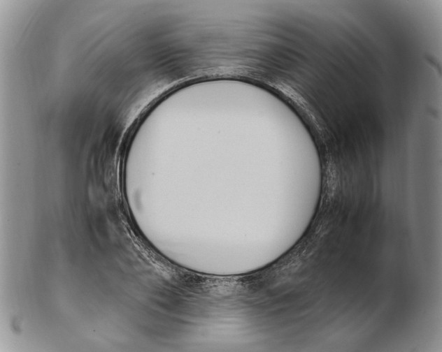 X0000102250886200808221350