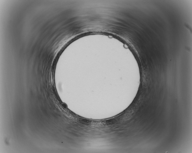 X0000102250887200808221350