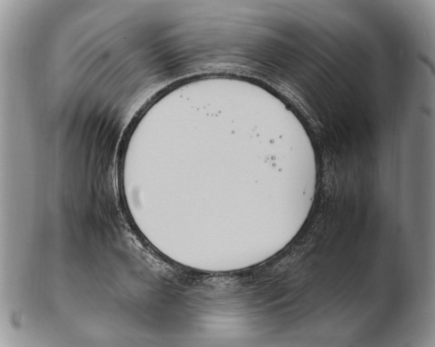 X0000102250888200808221350