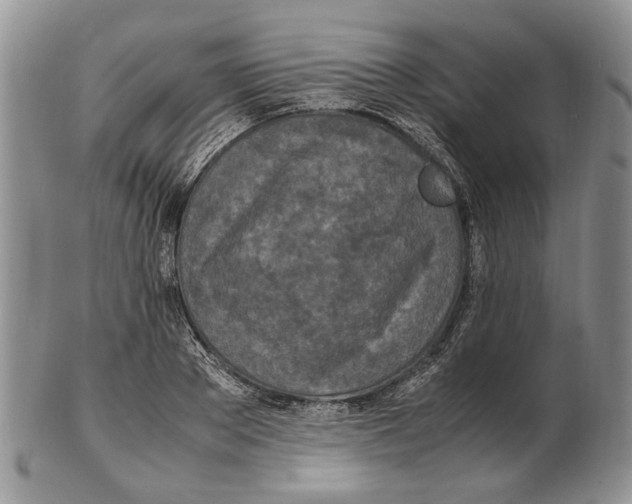 X0000102250889200808221350