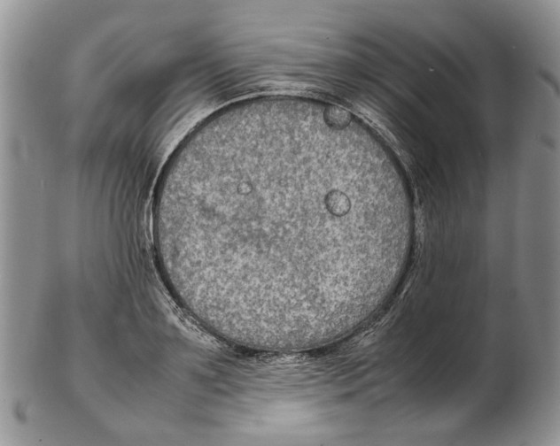 X0000102250891200808221350