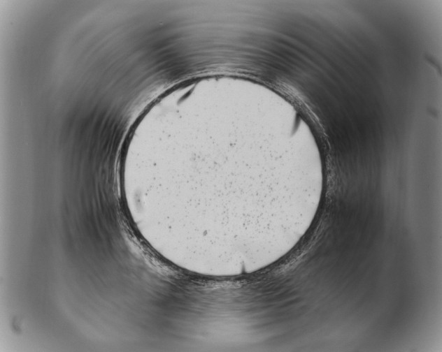 X0000102250892200808221350