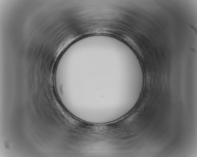 X0000102250893200808221350