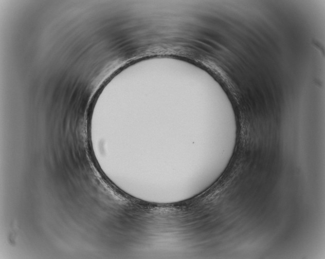 X0000102250894200808221350