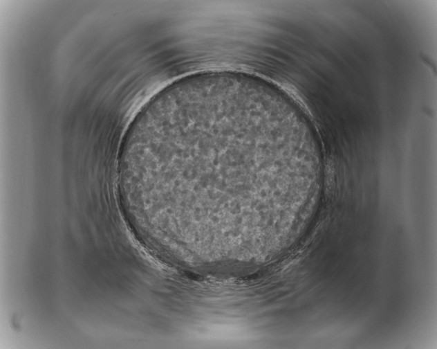 X0000102250895200808221350