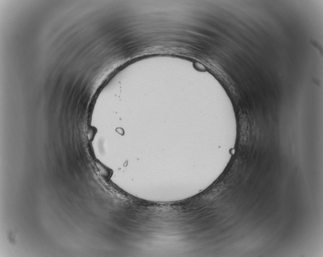 X0000102250896200808221350