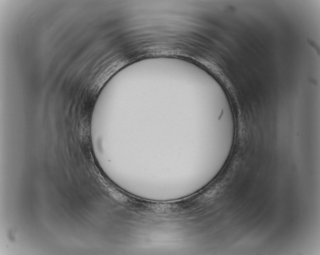 X0000102250897200808221350