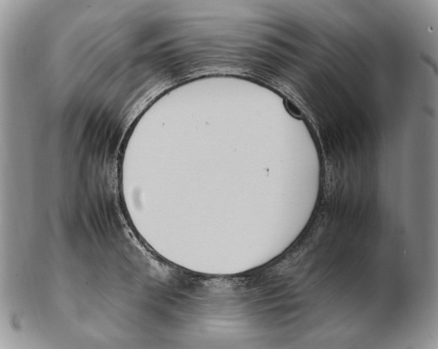 X0000102250898200808221350