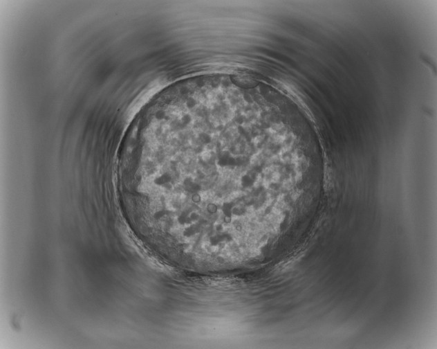 X0000102250899200808221350
