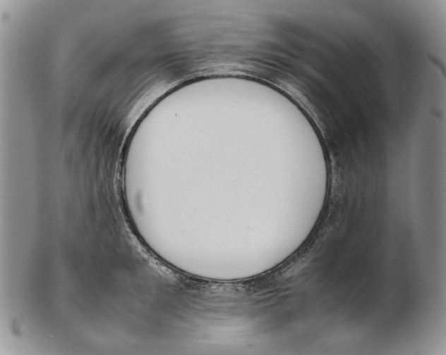 X0000102250901200808221350