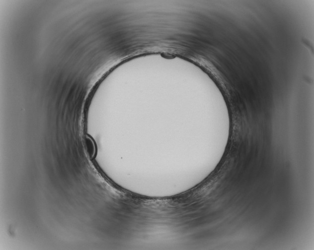 X0000102250902200808221350