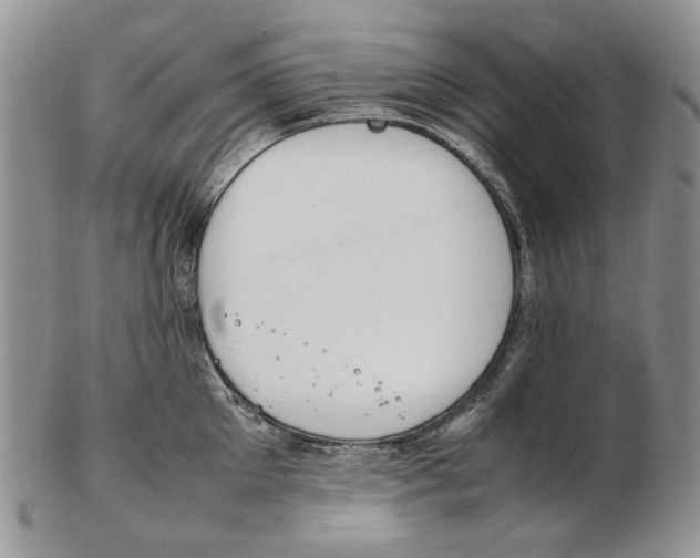 X0000102250905200808221350