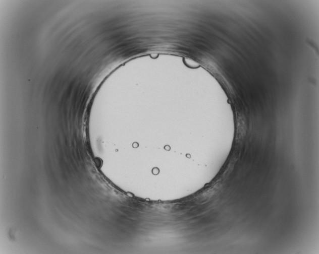 X0000102250908200808221350